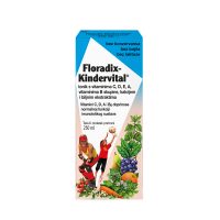 Dietpharm Floradix Kindervital sirup